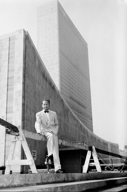 Dag at the UN