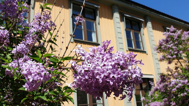 20200601-125004-16-10